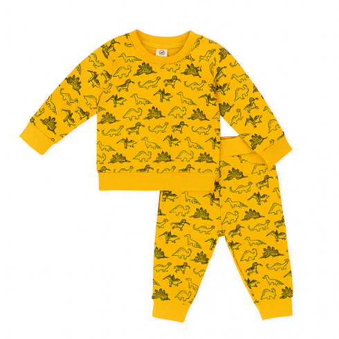 Nexteen Kids Exclusive 2Pc Suit Terry Shirt Long Sleeves & Touser Set 17110 Dino